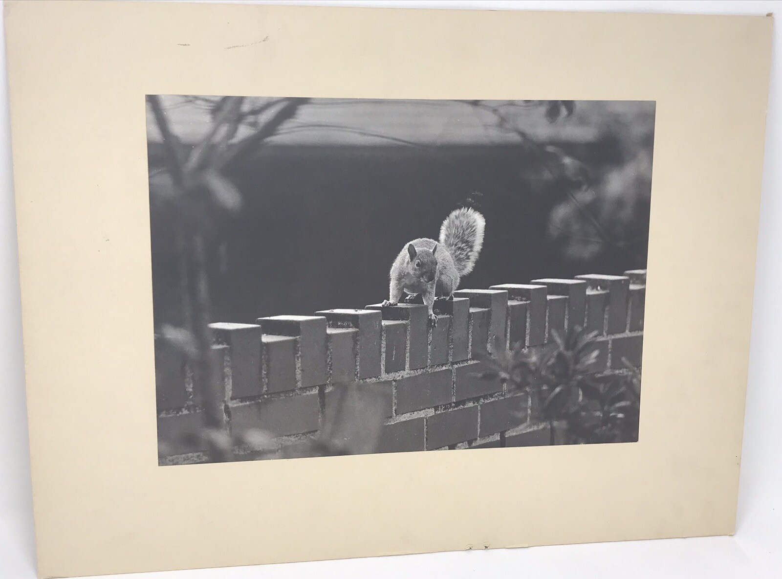 Vintage Matted Black & White Photography Nature 15” x 20” Pacific NW Photo Art