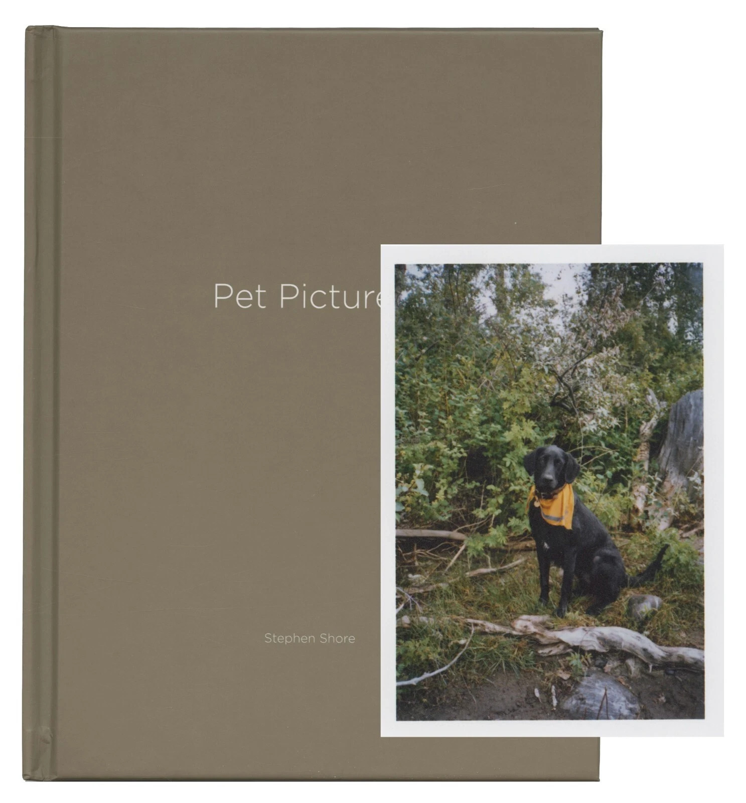 STEPHEN SHORE: Pet Pictures SIGNED Photo w/ Ltd Edition Book One Picture #73 NEW