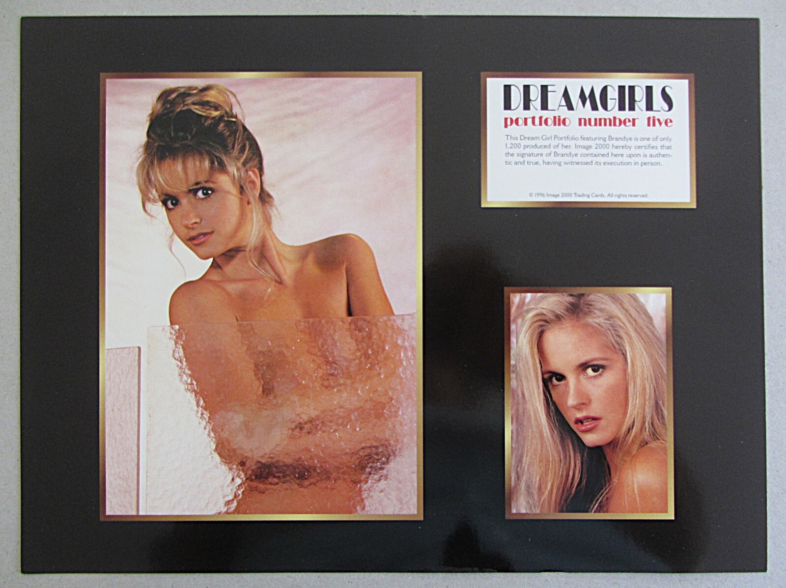 VINTAGE~IMAGE 2000~DREAM GIRLS PORTFOLIO #5~BRANDYE~1996~NOT SIGNED~9X12~XLNT