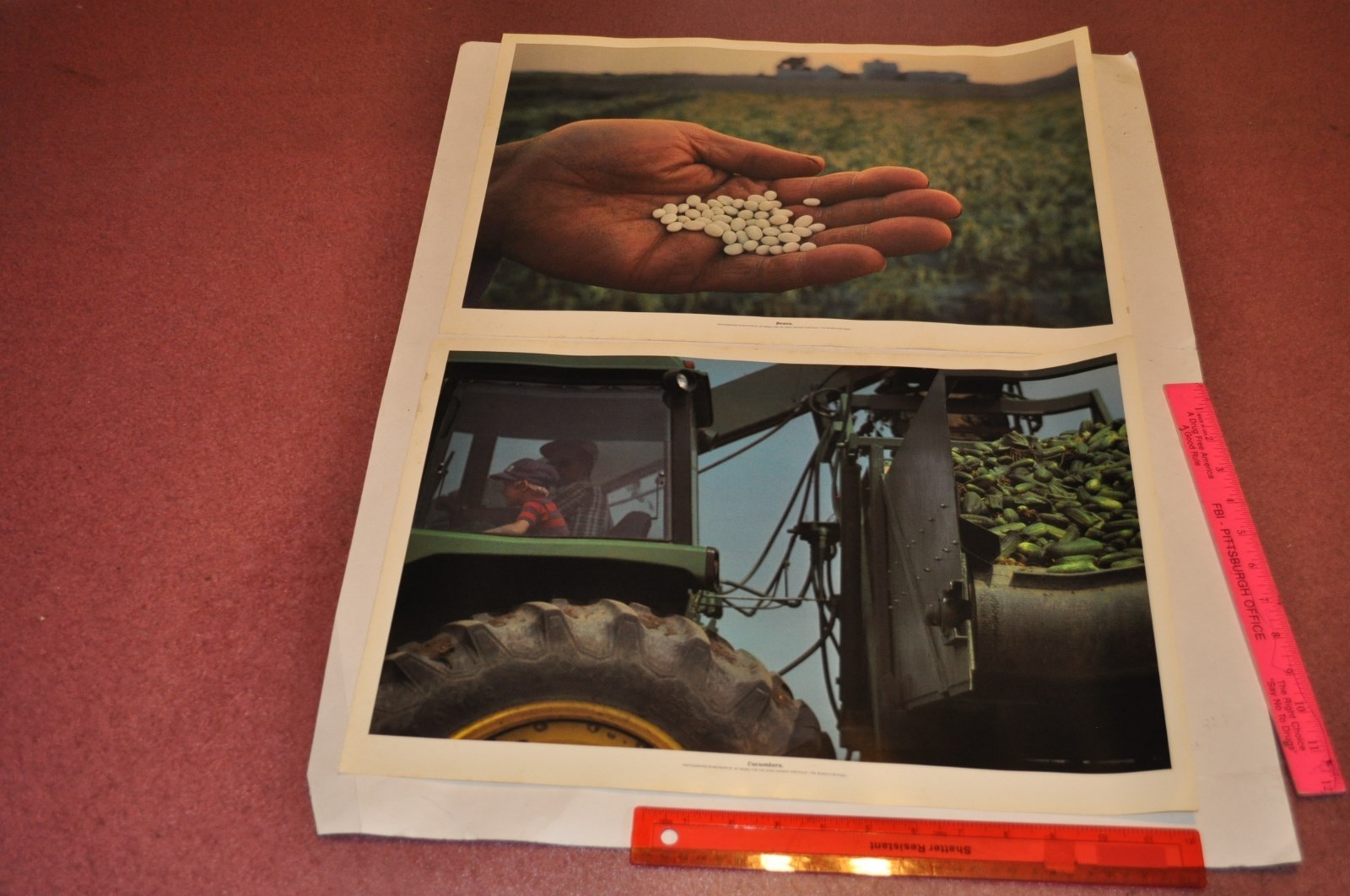 The Search for Food — Portfolio of 16 color photographs for Heinz | Jay Maisel
