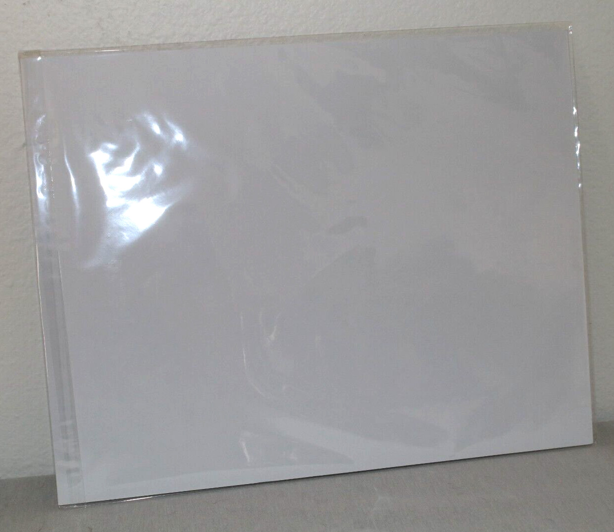 Deer Wildlife Photo 8″ x 10″ in 11″ x 14″ White Matte Signed by Kim Barry