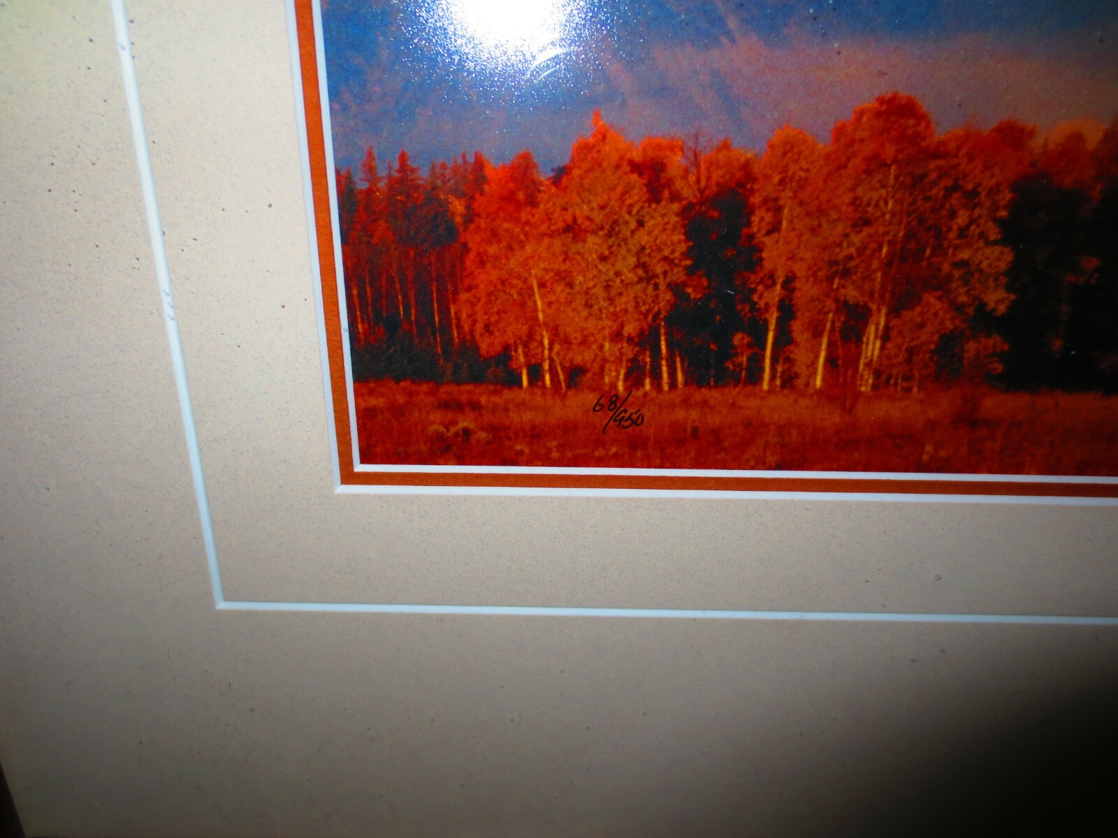Thomas Mangelsen “Changing Seasons” Grand Tetons 68/950 10″x14″ Signed