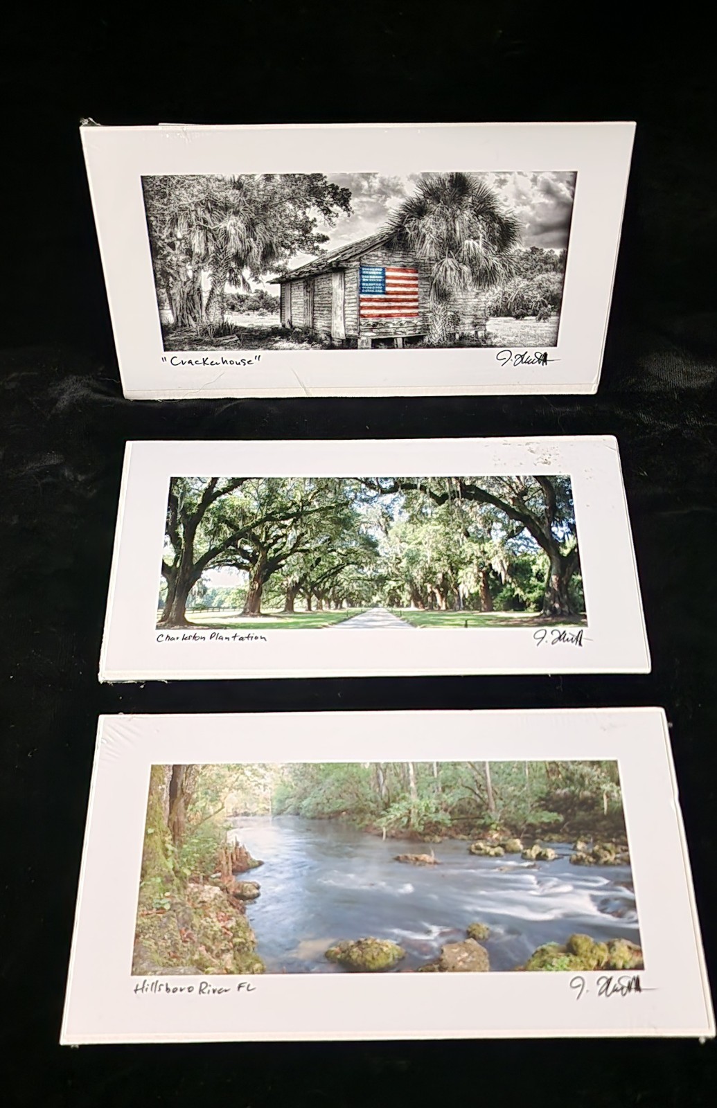 3 Matted Florida Photos Each Aprprox 9 X 4.5, Jeff Thamert Photography, Sealed