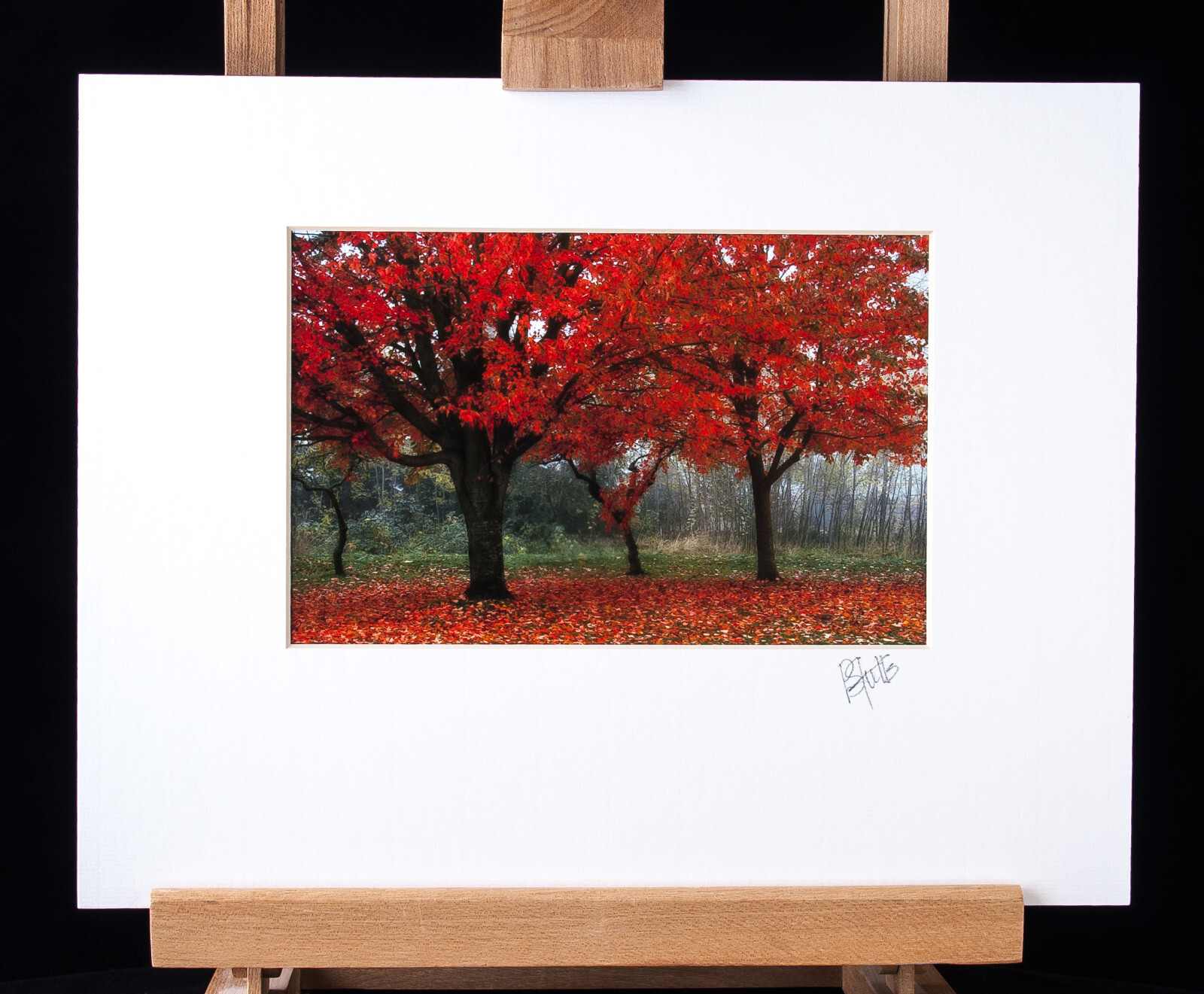 Color Photography Digital Image Matted 24″ X 20″ Seattle Park Fall