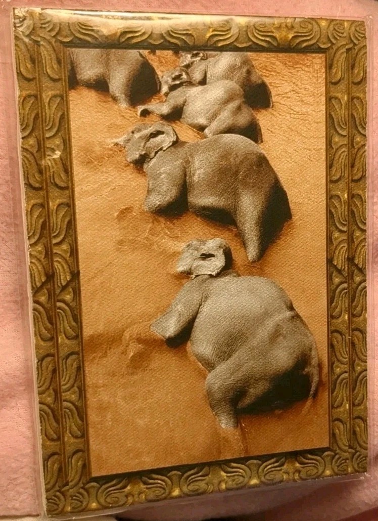 New Elephants Pigment Ink Photograph On Canvas 5″x7″ Gail Russell Photo Artist