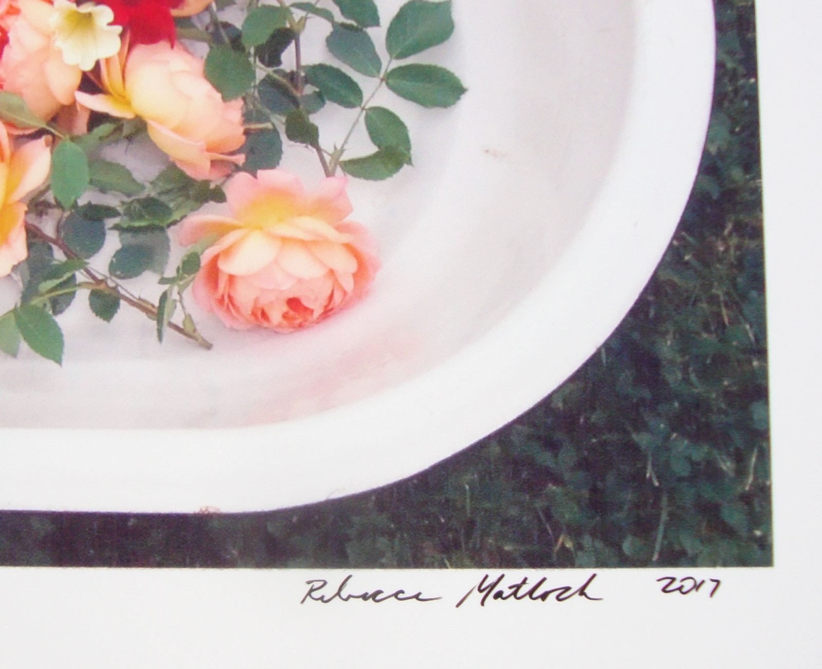 Enamel Tub of ROSES Flowers Original Photography SIGNED 2017 Fresh Bouquet