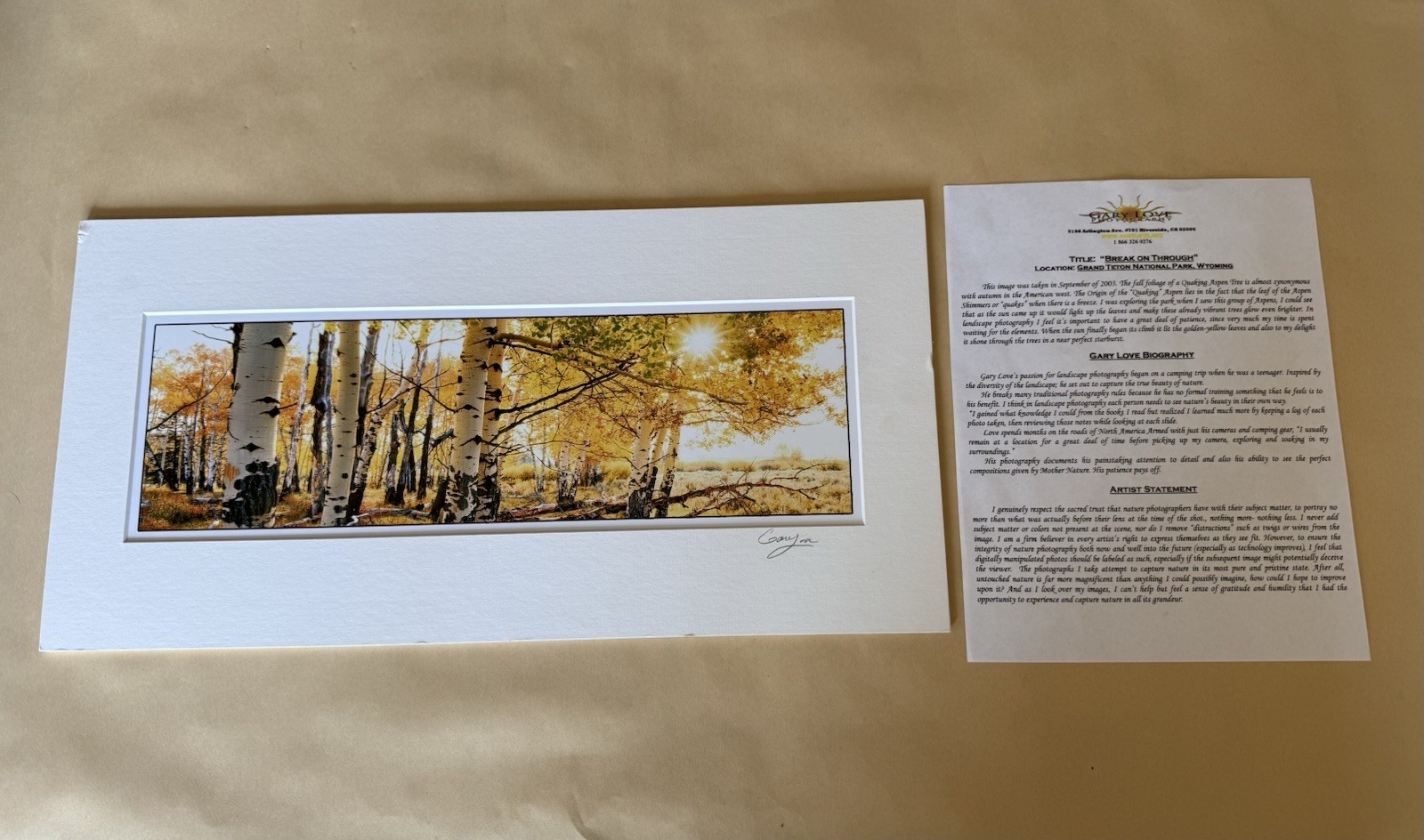 Gary Love Photography Print Grand Teton Aspen Tree Break On Through Signed