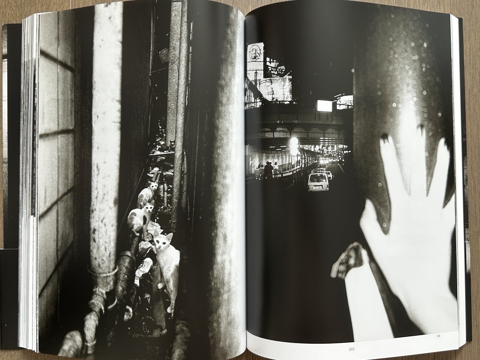 🎈NEW! Daido Moriyama – Memories of Light, Shimane Art Museum (Shimane, Japan)