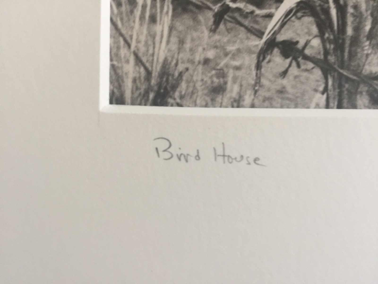 BRUCE BLUM SIGNED B&W Photo Print (10 “X 13”) “Birdhouse “