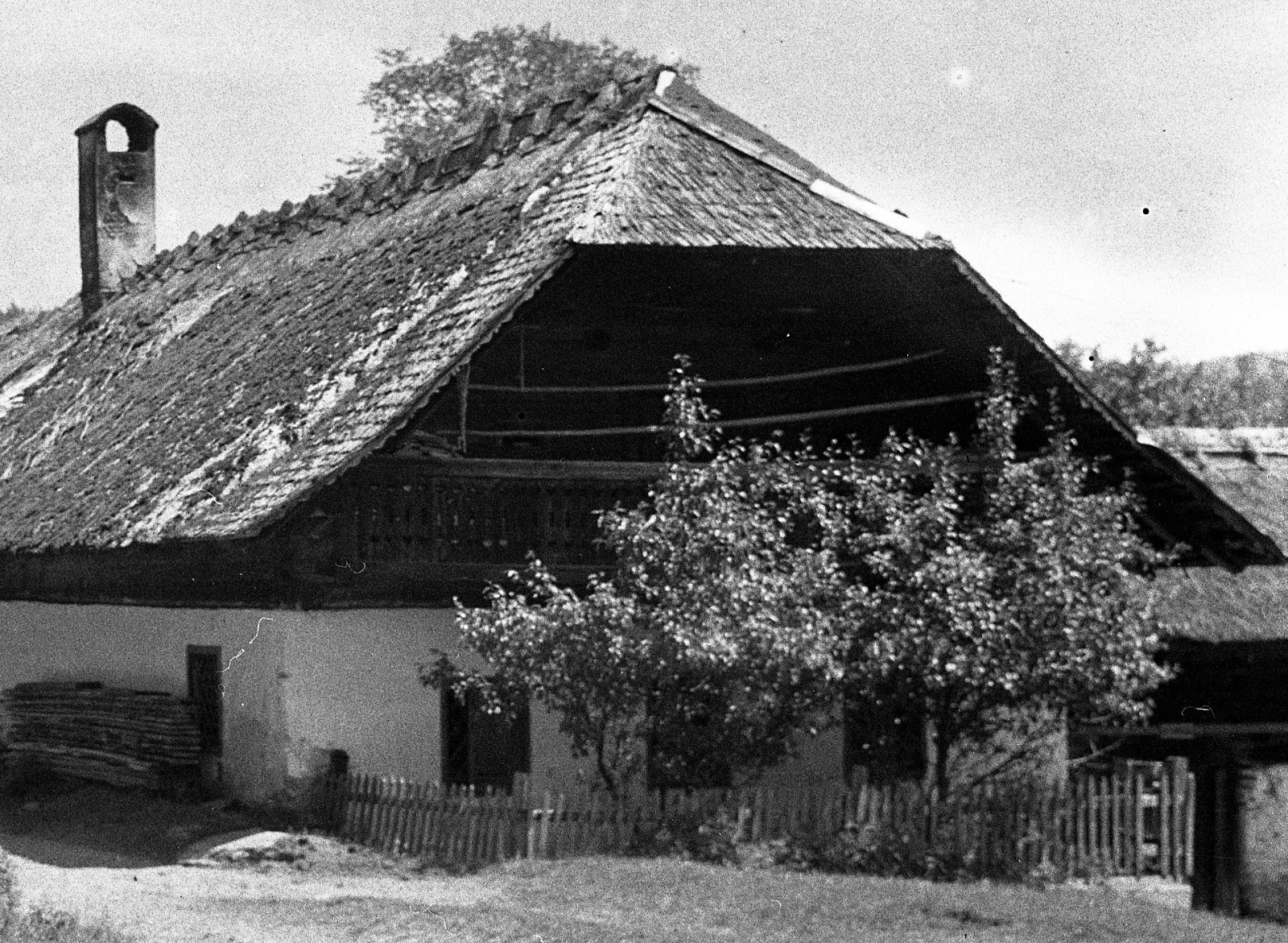 “Banernhaus Stmk” (Steiermark), farmhouse, Eduard PEZDIKA, vintage fine art nega