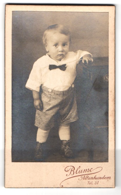 Photograph flower, old dog, portrait little boy in fashionable clothes
