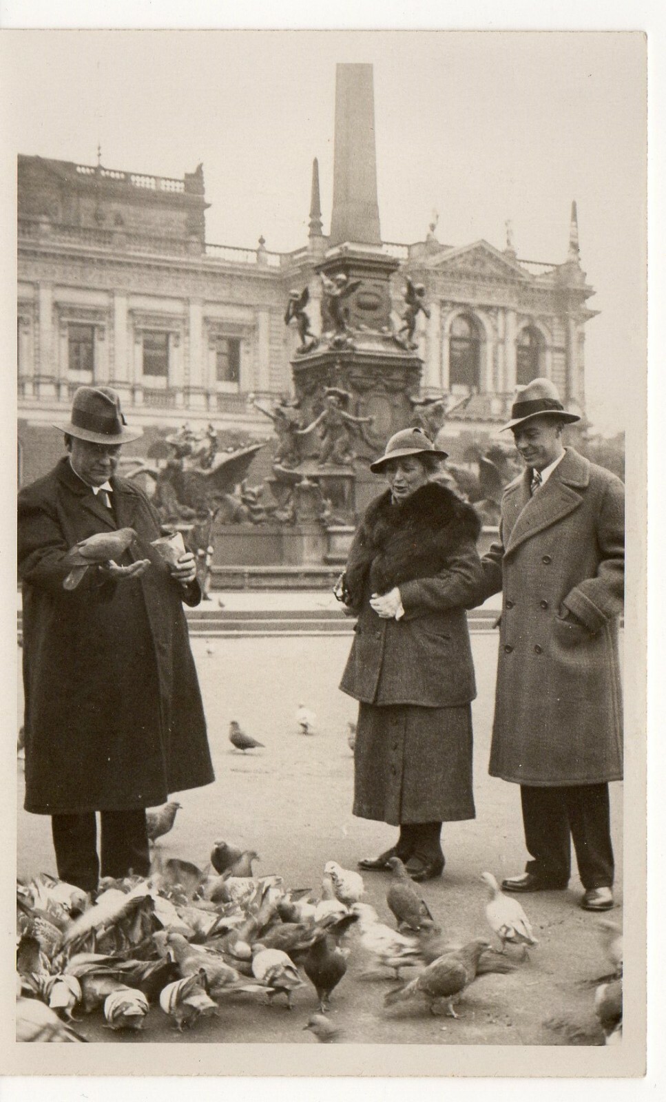 OLD PHOTO – 1/2 PIGEON FEEDING IN LEIPZIG, PHOTO TIPPMANN, LEIPZIG