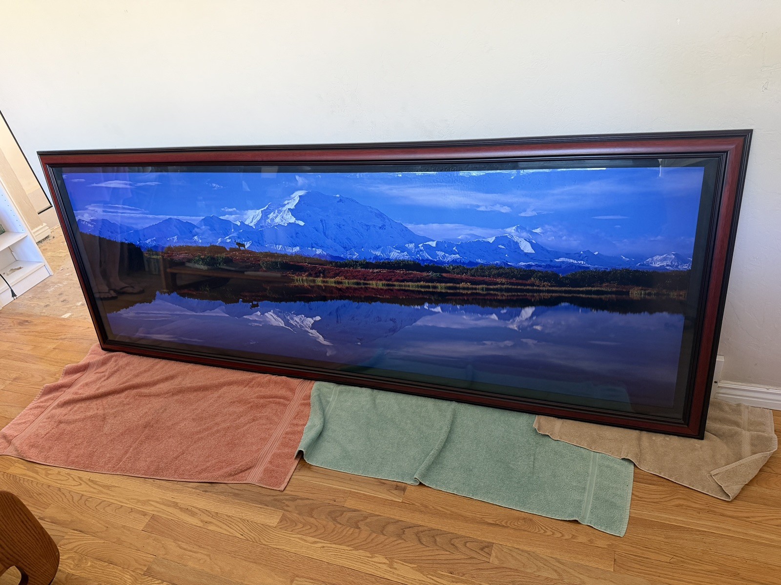 Reflection on Denali – 100″ x 30″ -Thomas D. Mangelsen