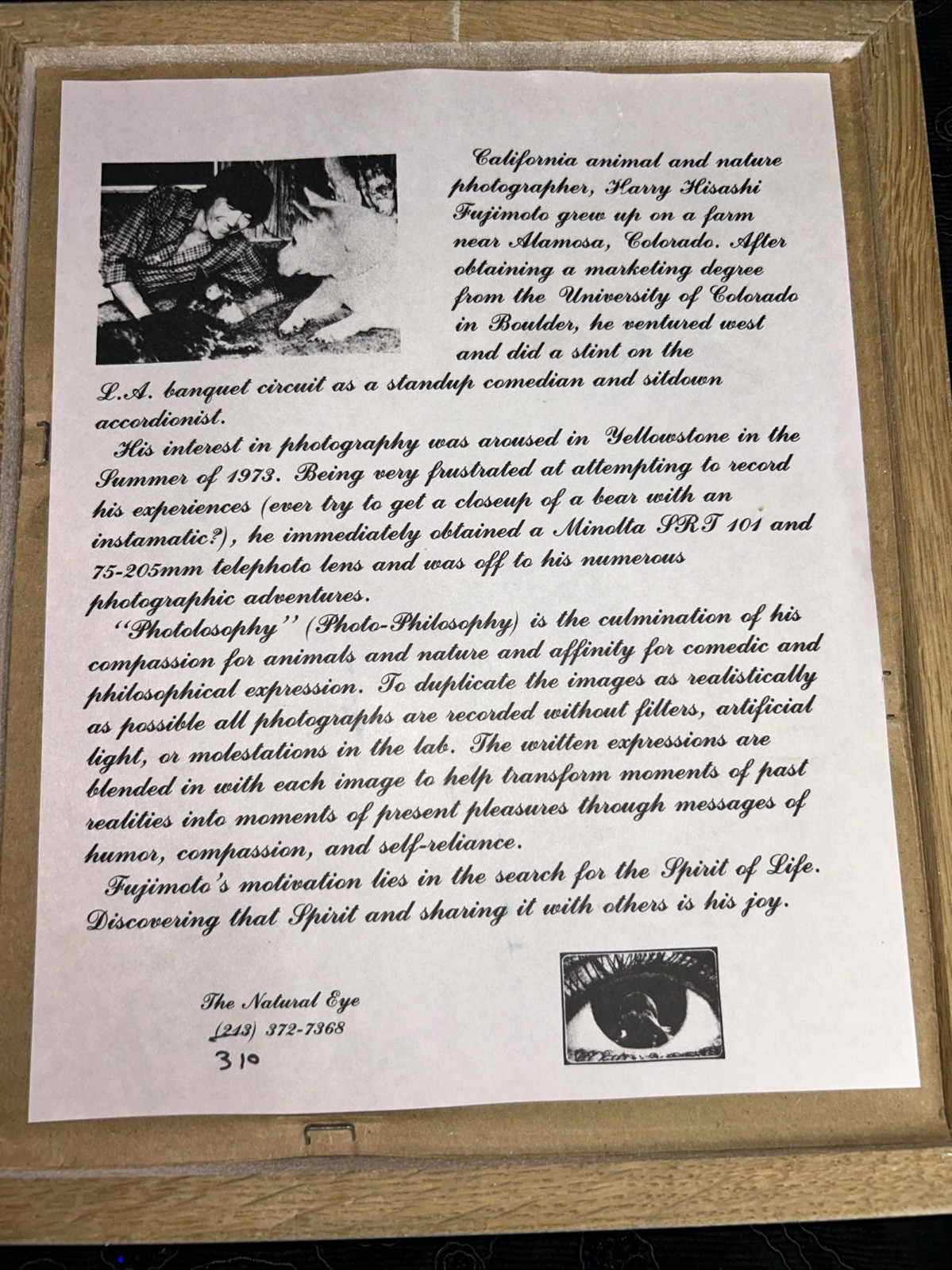 Harry Fujimoto Signed “Just Another Day at the Office” Funny Cat Photo