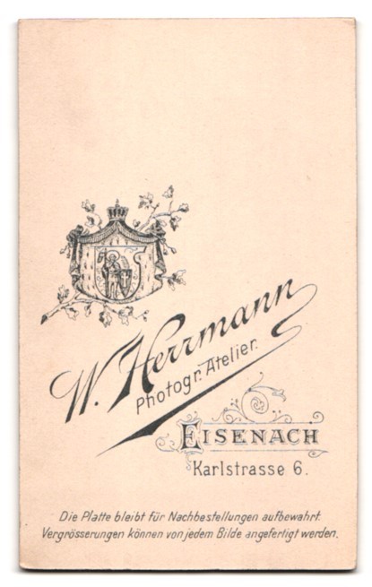 Photograph W. Herrmann, Eisenach, Karlstr. 6, Portrait Soldier in Musician Unifor