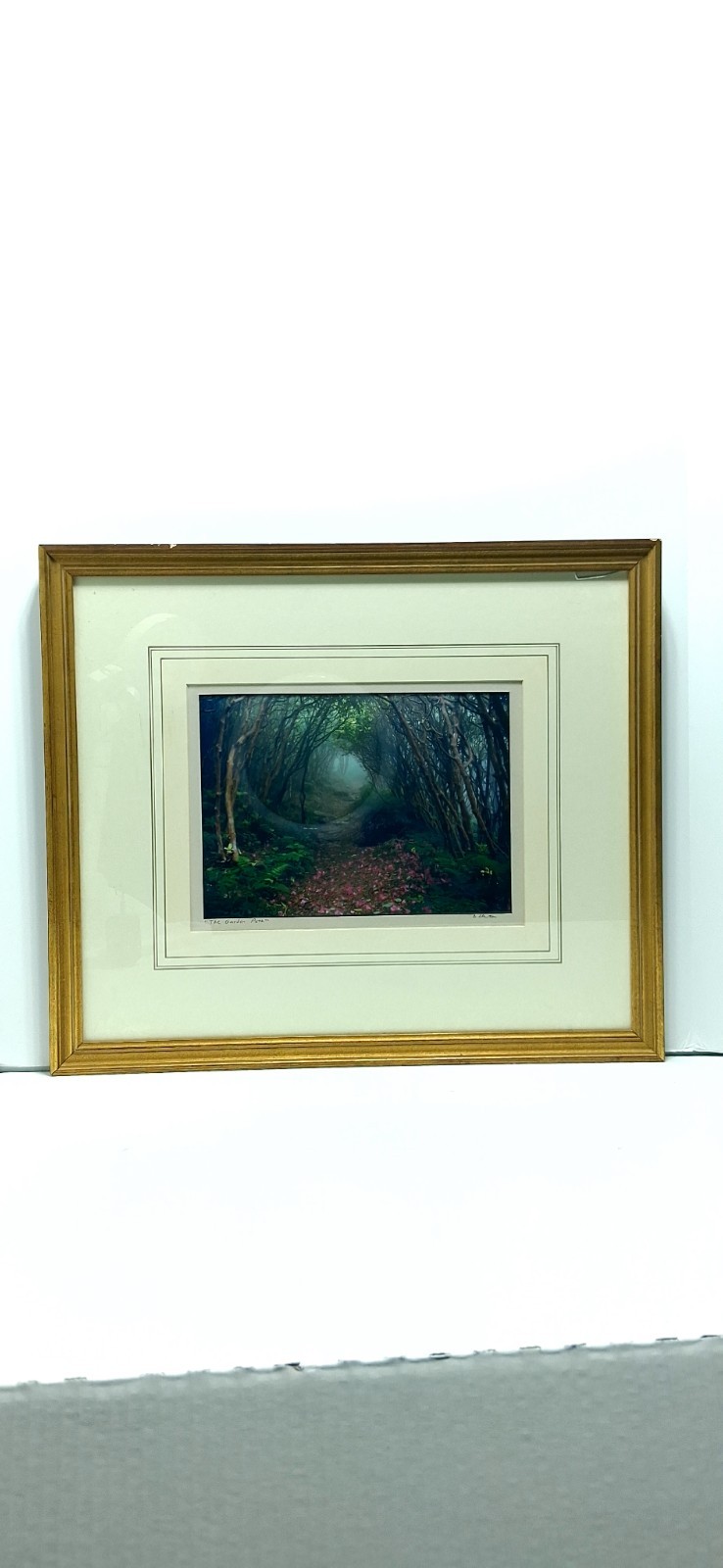 Guy Newton The Garden Path framed photograph Blue Ridge Parkway