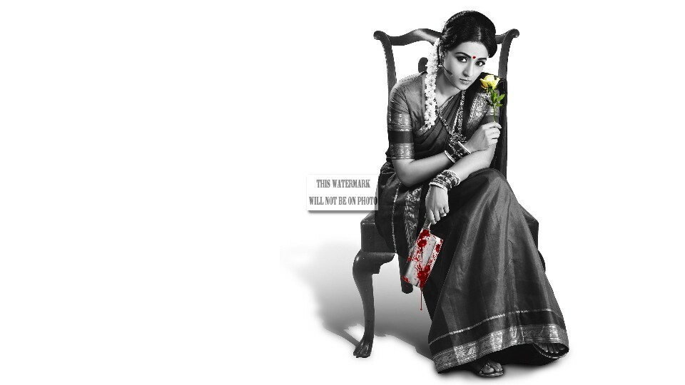 Tollywood Beauties “Trisha Krishnan” South Indian Actress 4″x6 / 8″x10″ Photos