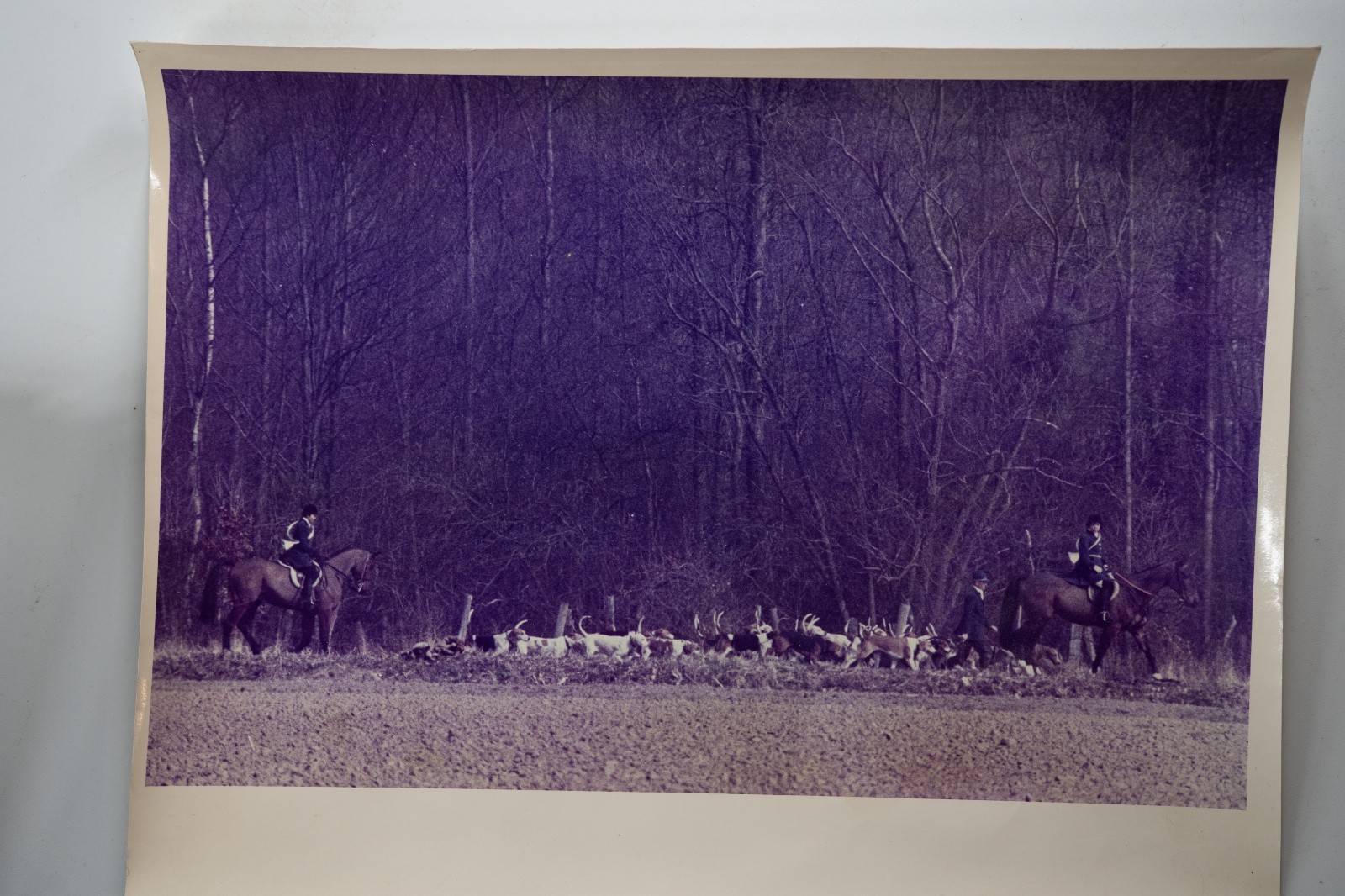 Vintage Analog Photo France Hunting Dogs Equitation 20X30CM 1970