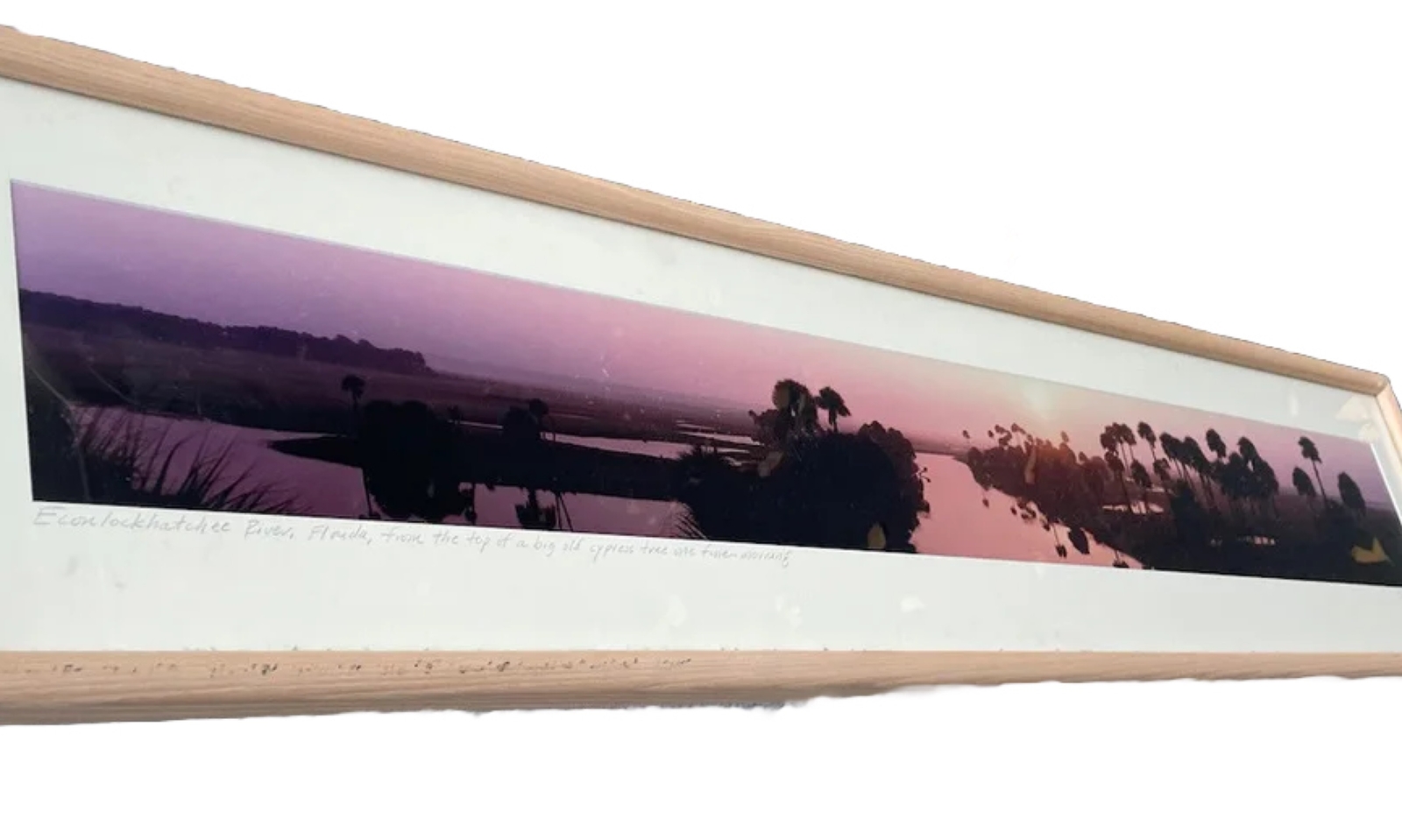 Panoramic Framed ECON Top Econlockhatchee River Florida Steve Vaughn 52:11’