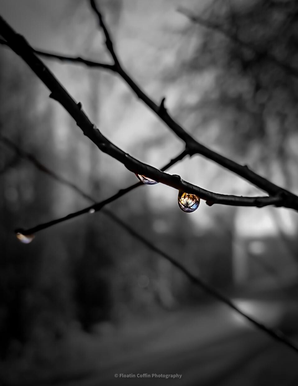 8 different Raindrops Photography, glossy, printed, 8×10 in, one piece