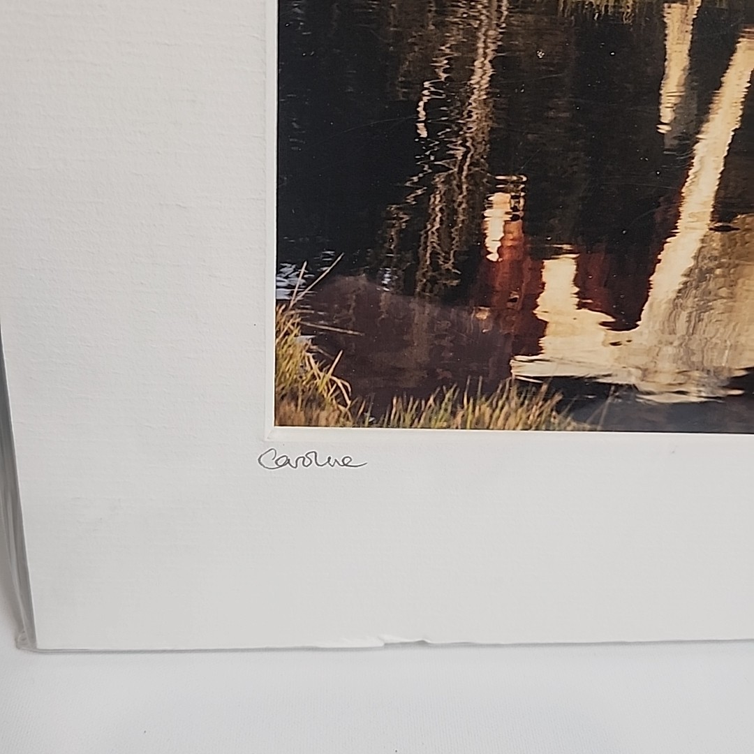 Horse Photograph Lot of 3 Equestrian Caroline Christie Signed Matted