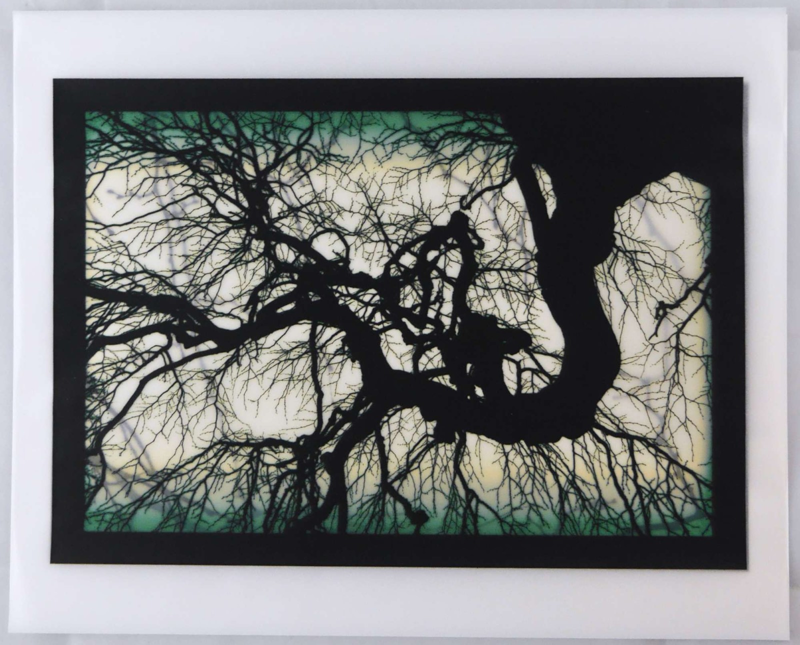 Mike Starn / Structure of Thought 30 8 x 10 LIMITED EDITION ARCHIVAL Signed 1st