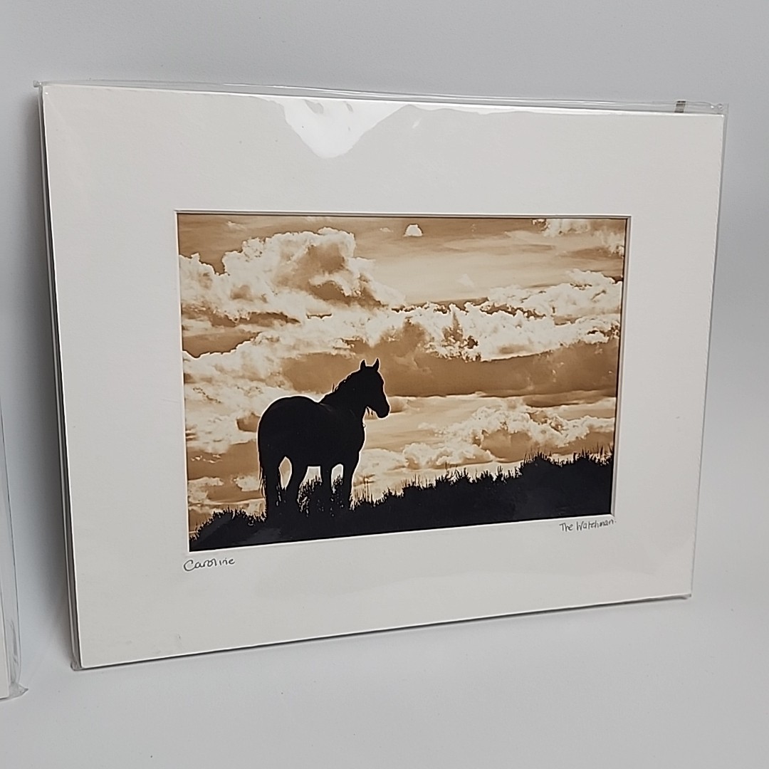 Horse Photograph Lot of 3 Equestrian Caroline Christie Signed Matted