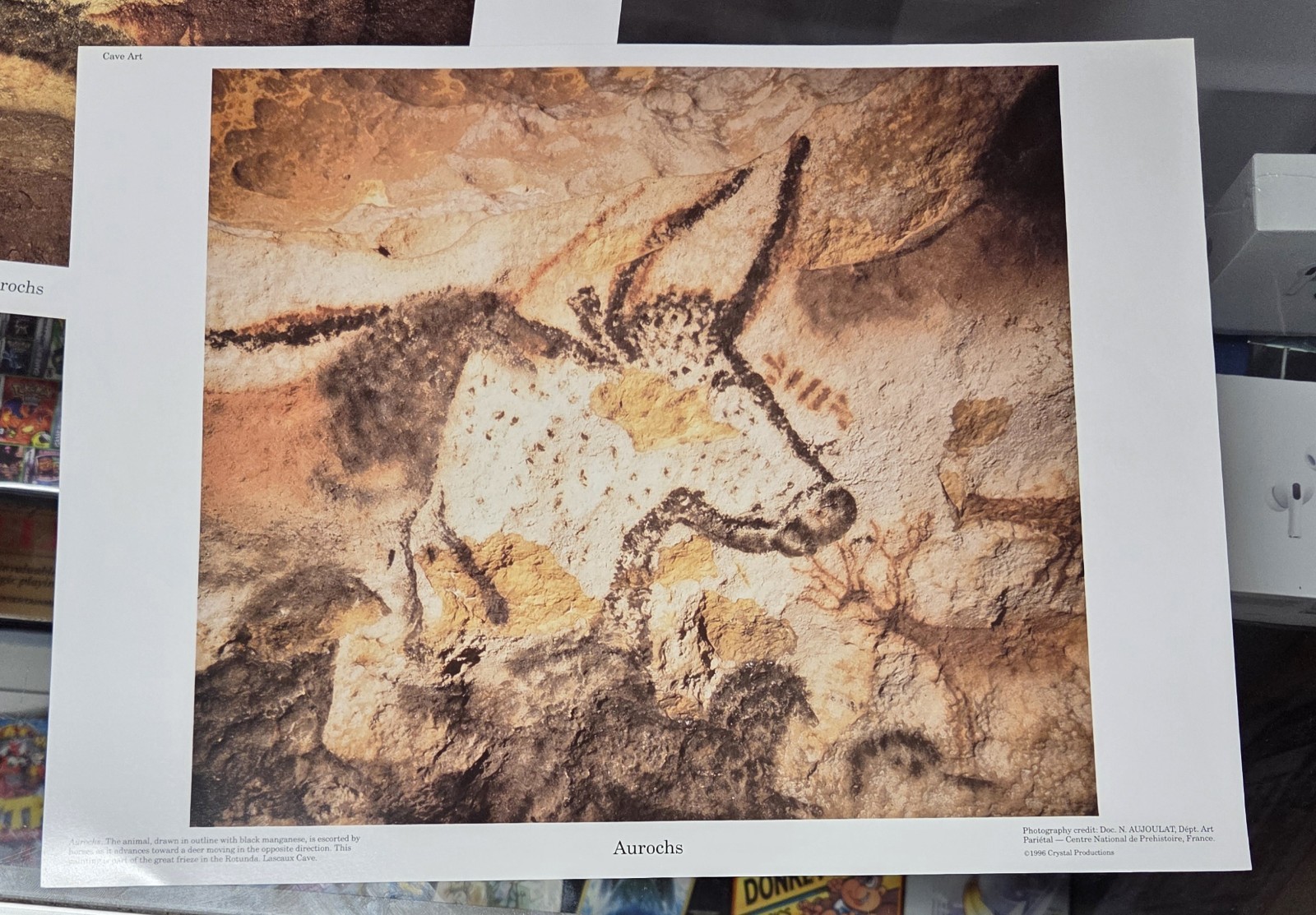 Set of 12 Lascaux Cave Art Photo Prints 1996 Crystal Productions France