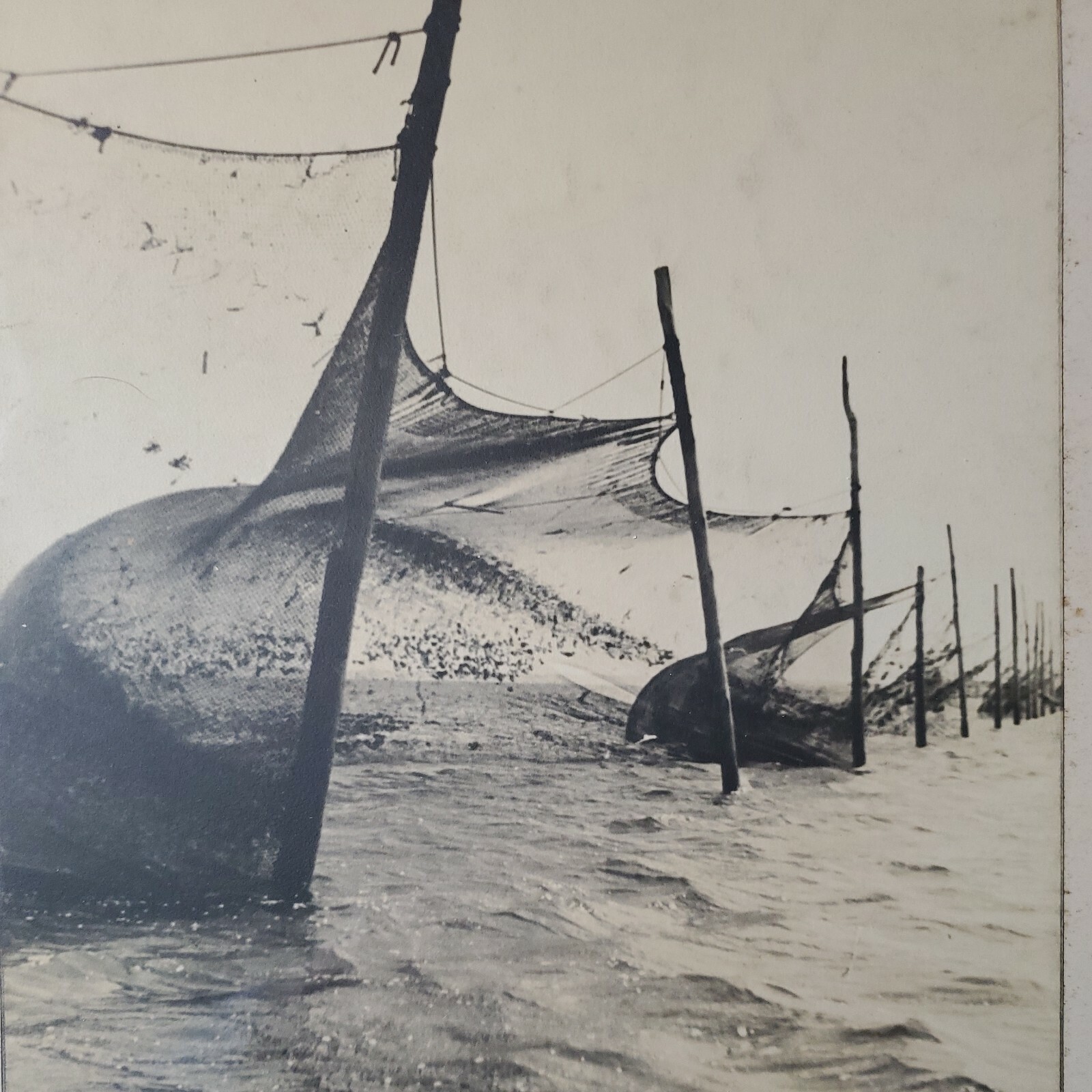 PHOTOGRAPHER JOSE ALEMANY; Original Titled Photo, “Weir In The Wind” 7.5 x 11.25