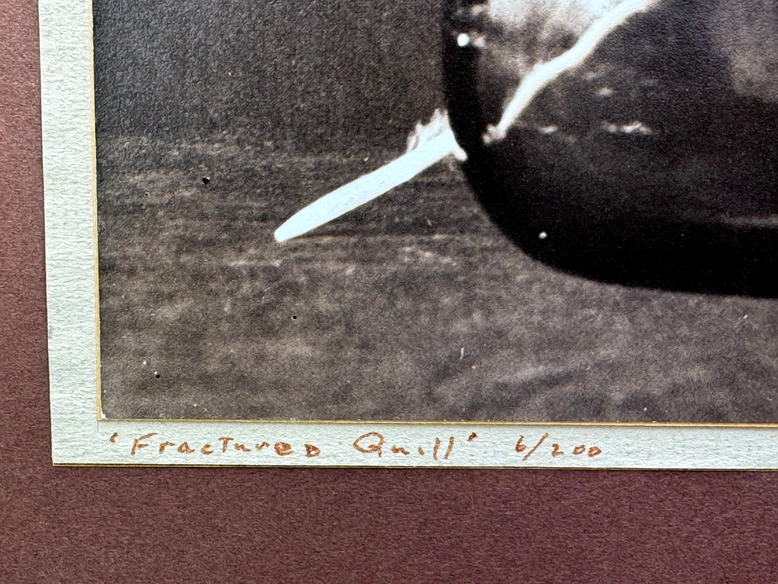LEON KOSOFSKY SIGNED PHOTOGRAPH FRACTURED QUILL APPLE FEATHER WINE BOTTLE ART