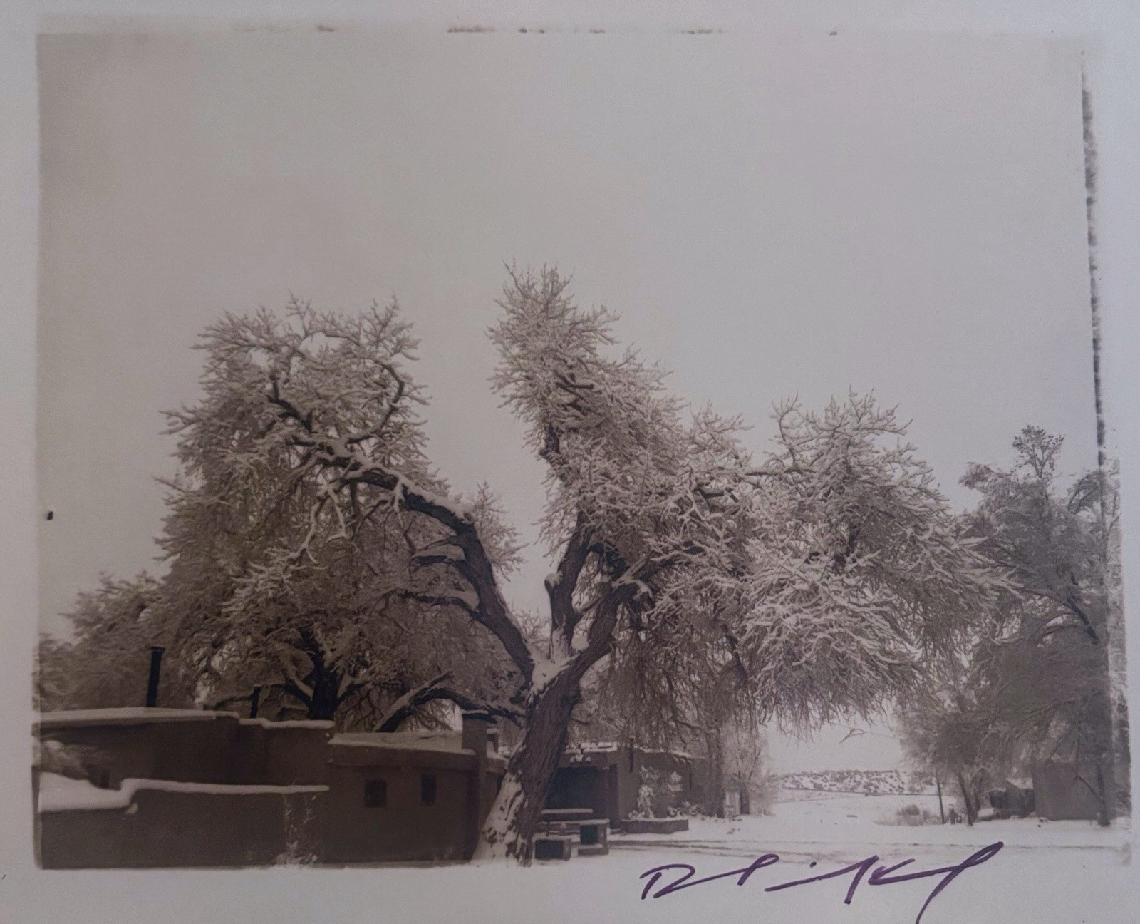 David Michael Kennedy, original photograph. C 2012 Ex. Cond.