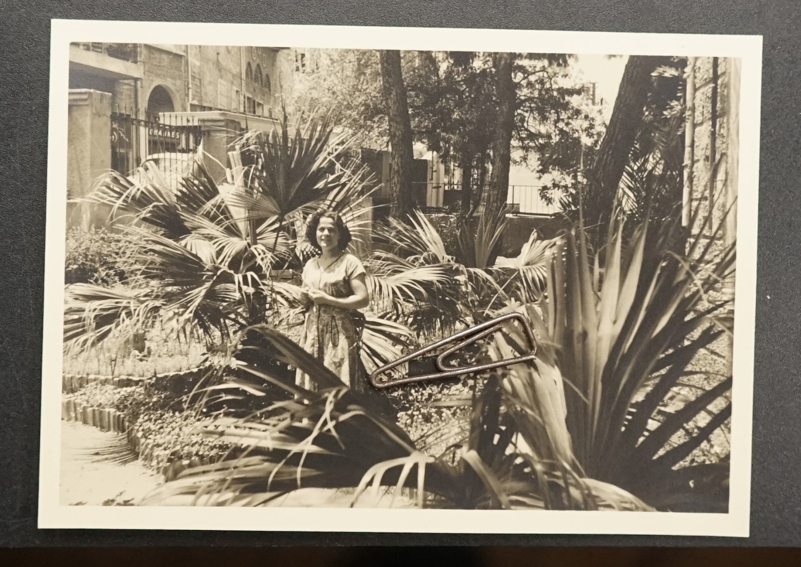 Photo Portrait Young Woman Hotel Beirut Lebanon Model View Palm Trees Flower Sign
