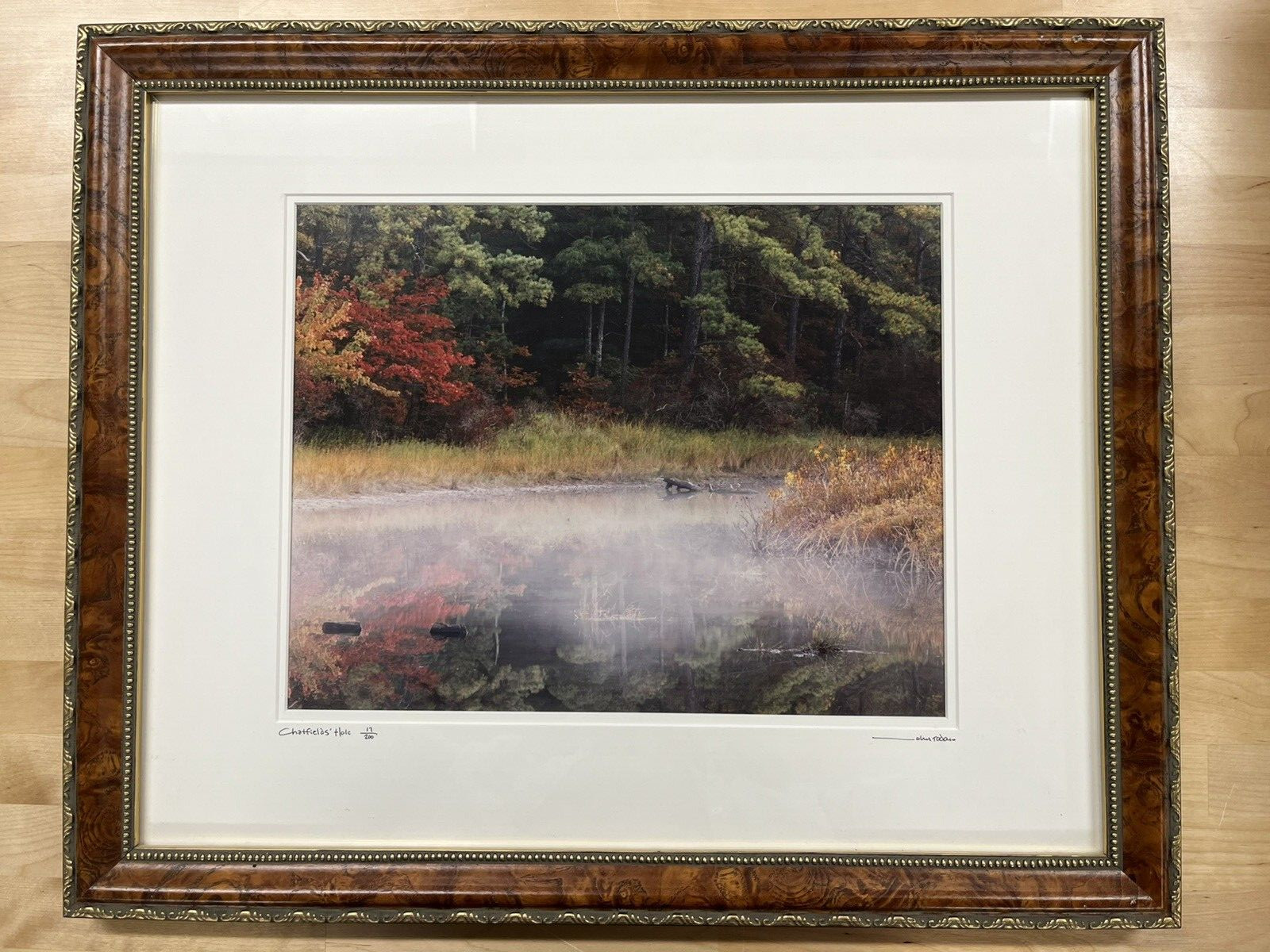 Chatfield’s Photograph (17/200) John Todaro Print Framed ( 22″ X 18″ )