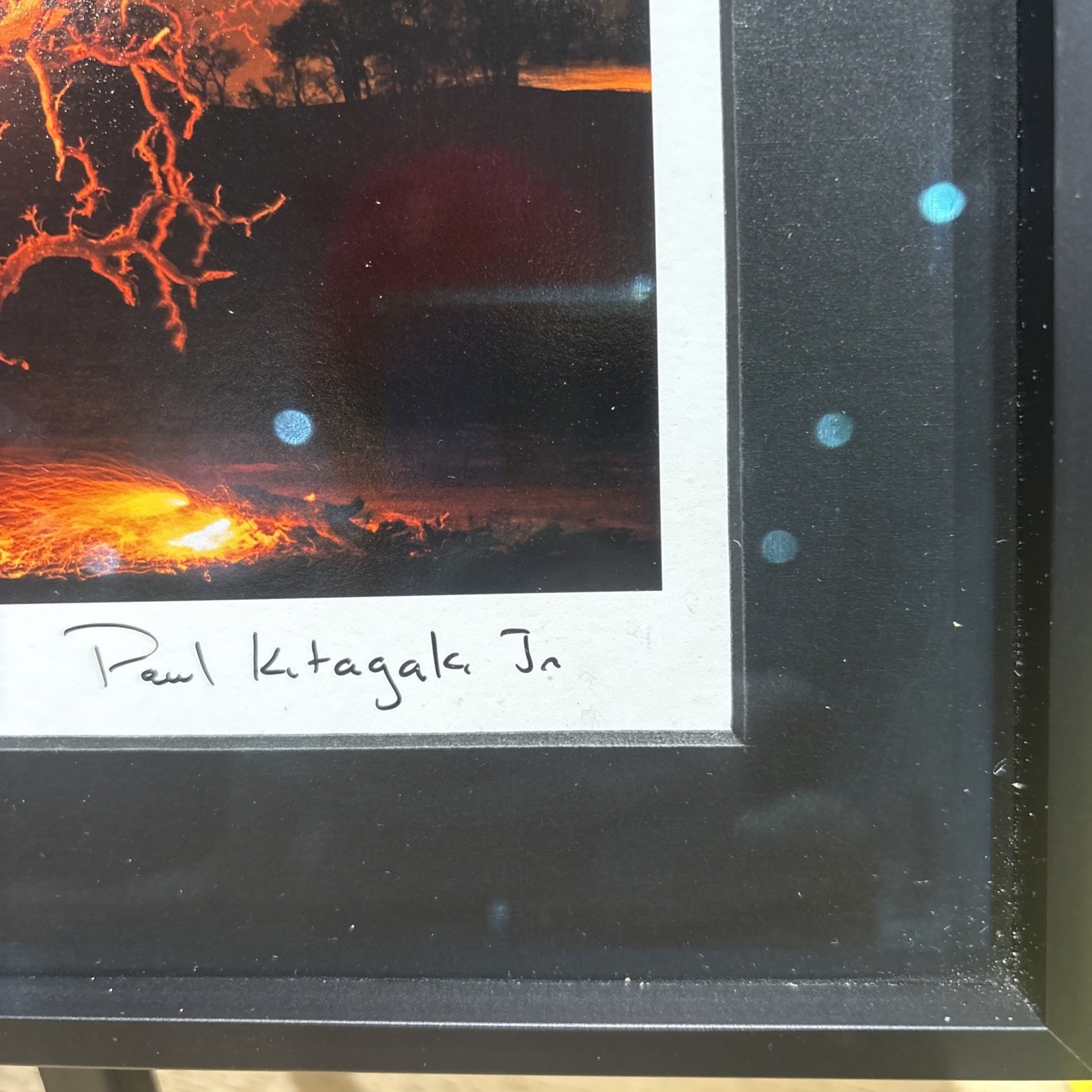 Photograph Print Titled Burning Tree” Signed By Paul Kitagak Jr. F-10”x12.75”