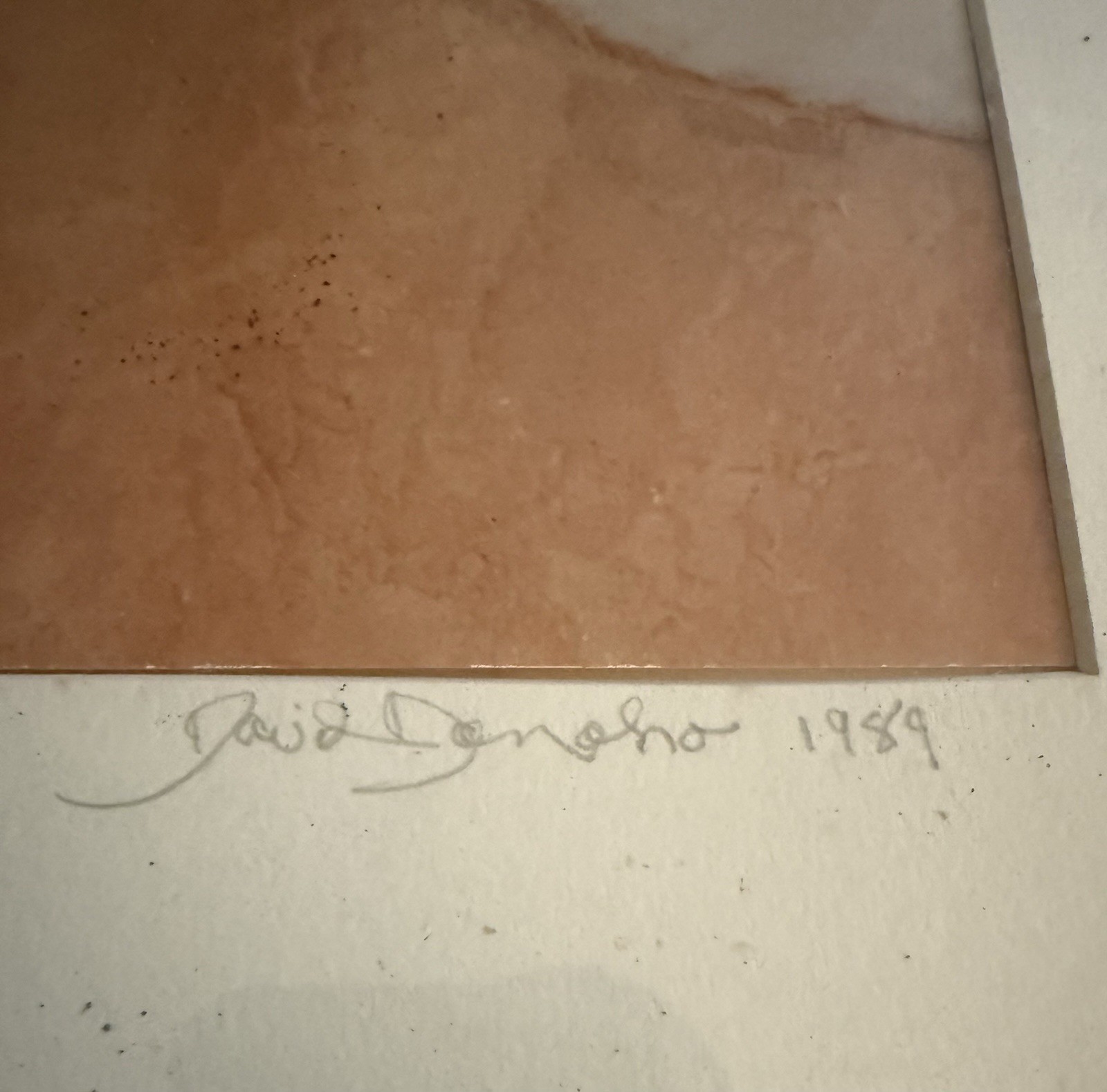 David Dohono Winter In My Patio 1989 Signed Photography Framed Listed Artist