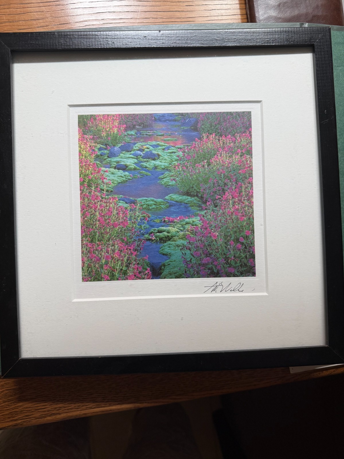 Art Wolfe Signed Photograph – Alpine Stream, Moss & Wildflowers –Framed Fine Art