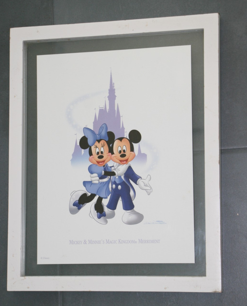 Disney Pluto Animal Kingdom Donald Duck Hollywood Studios Goofy Epcot Lith Set