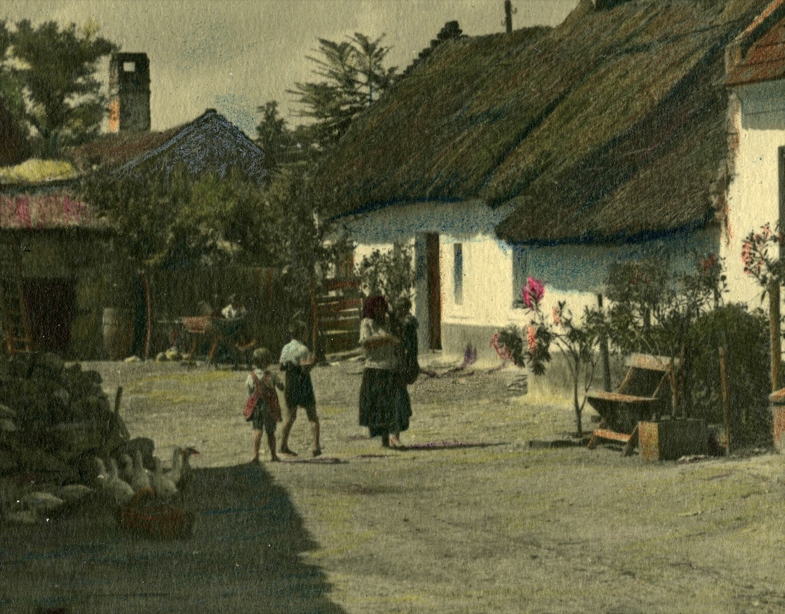 Larger size, still life in hungarian village, Vintage hand tinted fine art Photo