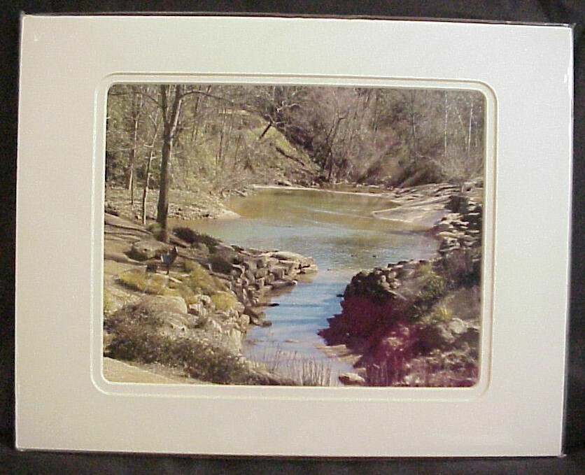 Greenville, S.C. River Stream with Ducks 2, Fine Art Photo Print Matted 11″x14″