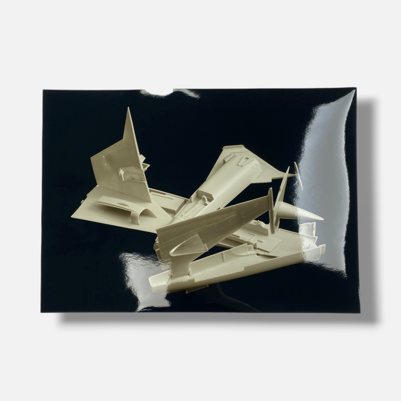Joan Fontcuber “Pin Zhuang” 2004, Art Photography Multimedia & Book Set