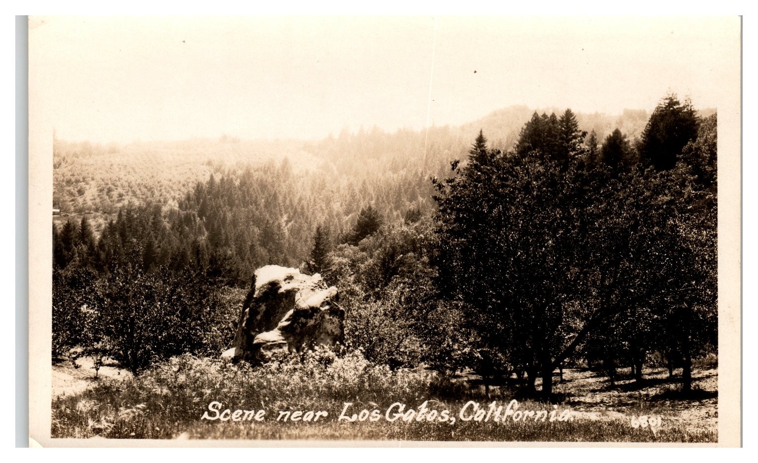 Original Vintage Photograph Scene Near Los Gatos California Rustic Landscape