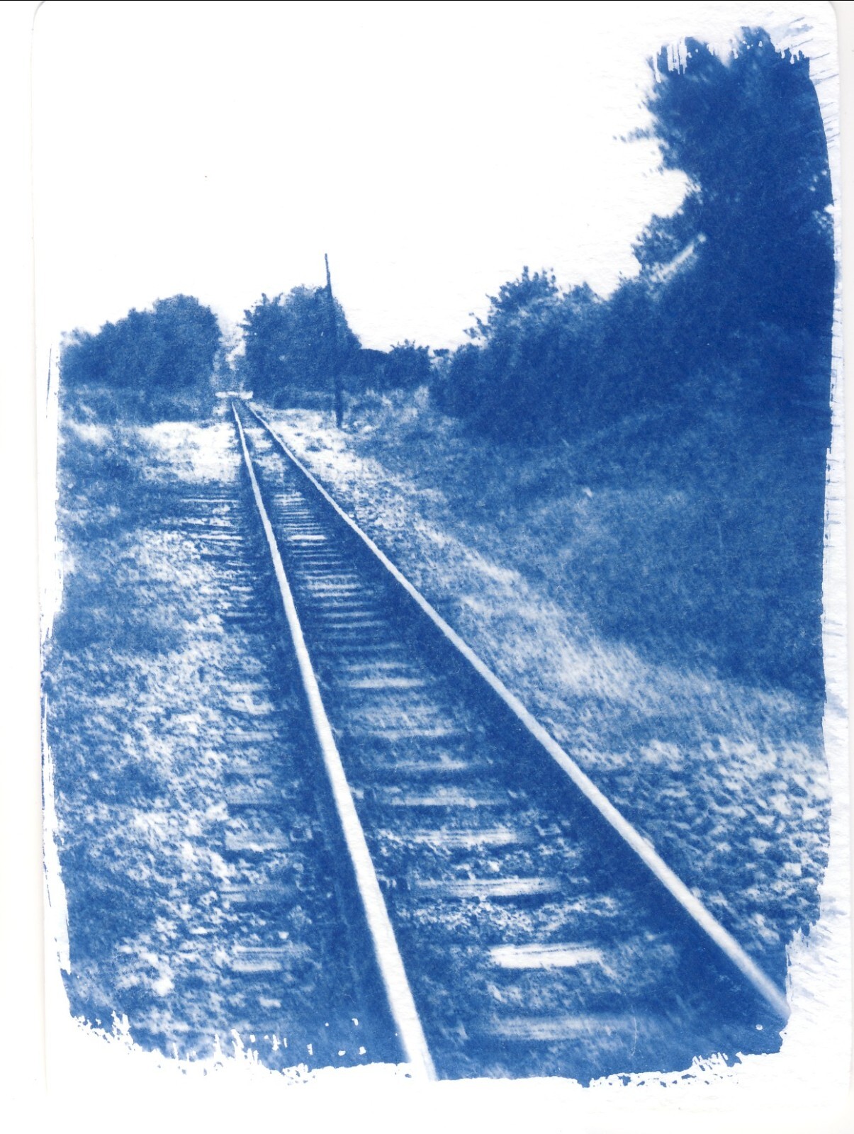 🎁 Set 13: All Handmade Photographic Cyanotype Greeting Cards Set of 12pcs 🎁