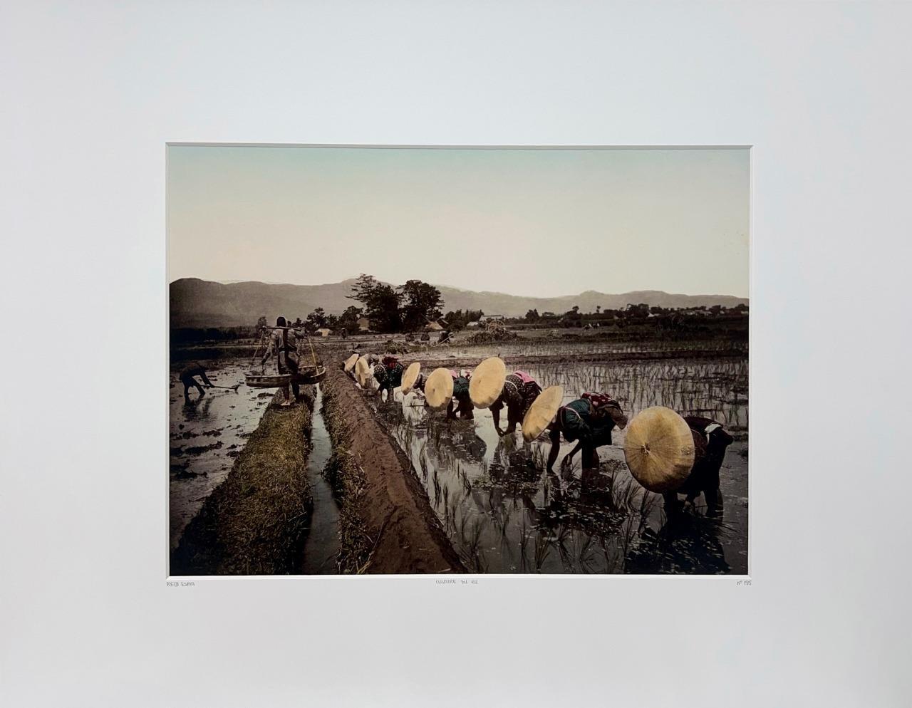 Reiji Esaki Japan Culture Du Riz Paddy Rice Fields Asia YellowKorner Photograph