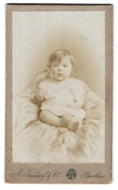 Photograph A. Jandorf & Co., Berlin-SW, Bellealliancestrasse 1-2, portrait cute