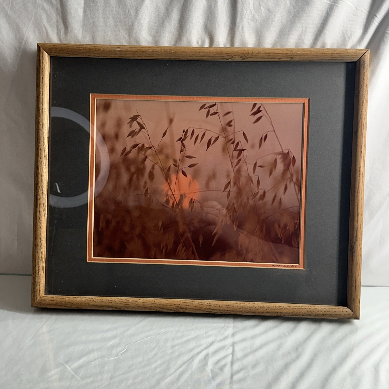 Takao Wakida California Country Side Scene Original Photography Signed & Framed
