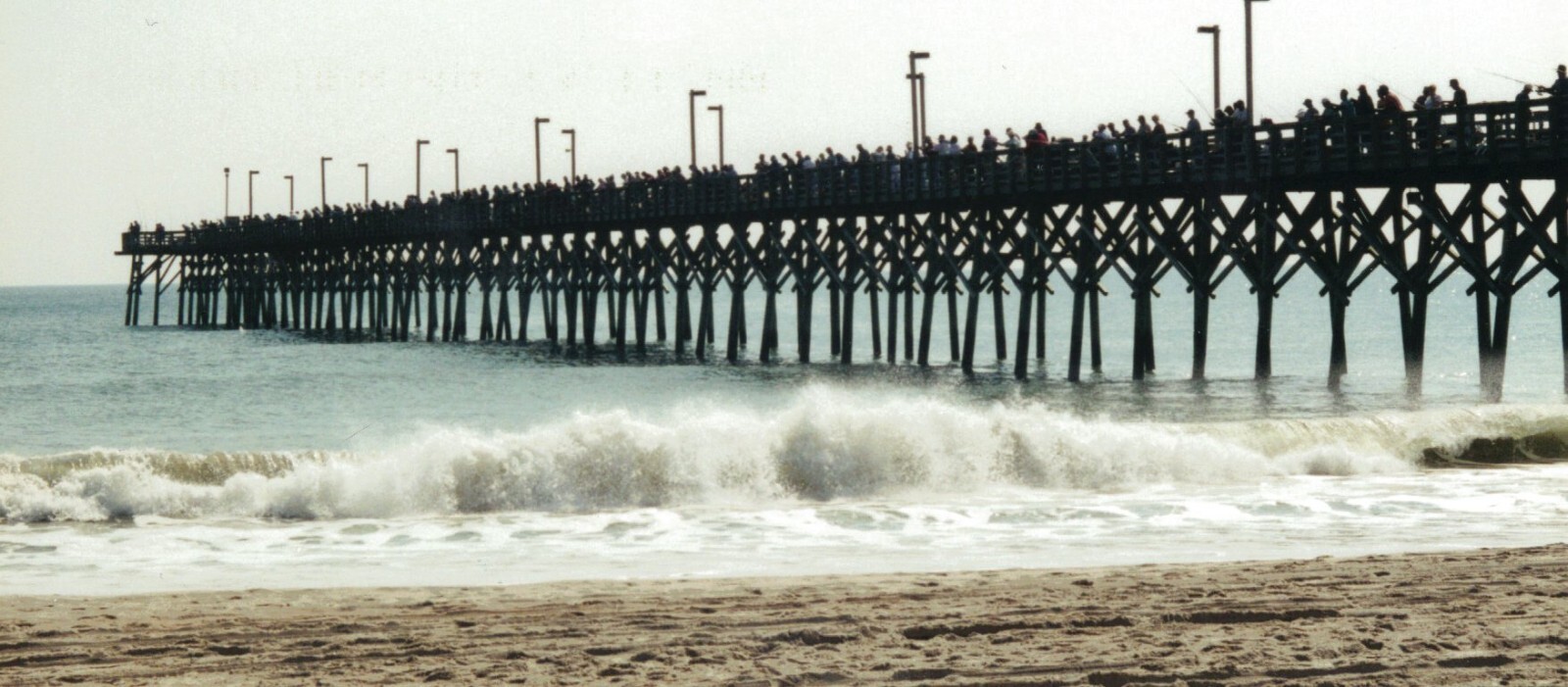 Beautiful Nature Photographs, Archival Quality Prints, Matted and Signed