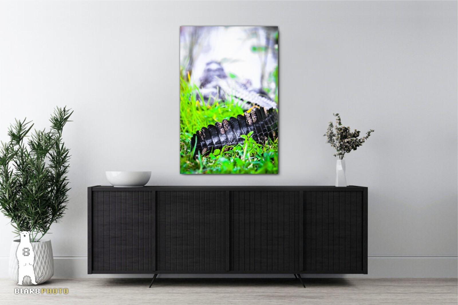 Alligator – Fine Art Photography Prints – by Bear8Photo