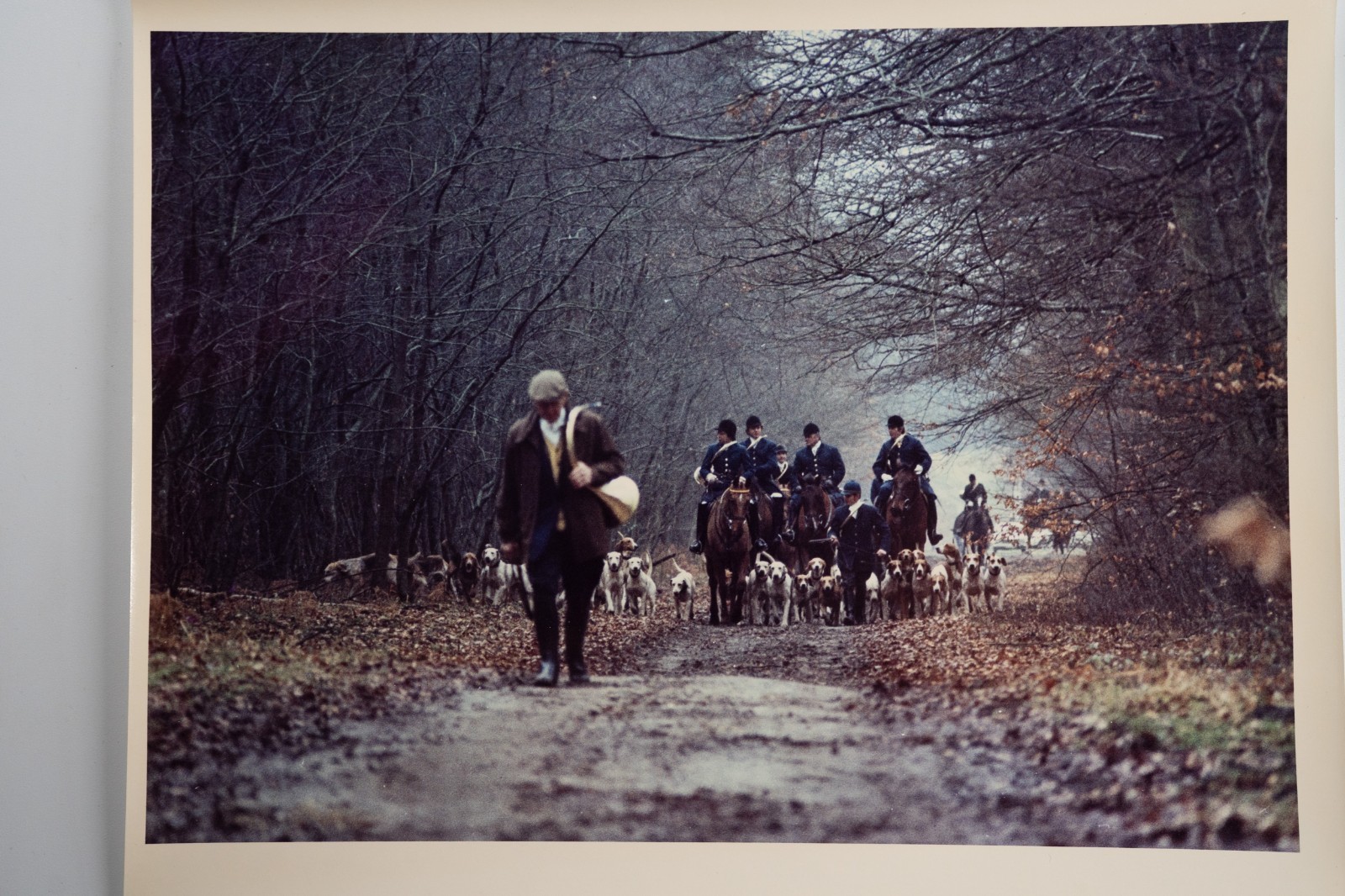 Vintage Analog Photo France Hunting Foxhunting Horse 24X30Cm 1970