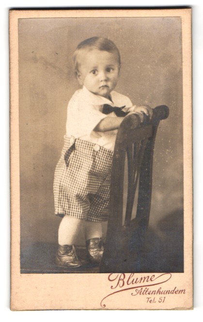 Photograph flower, old dogs, portrait fashionably dressed boy on chair ste