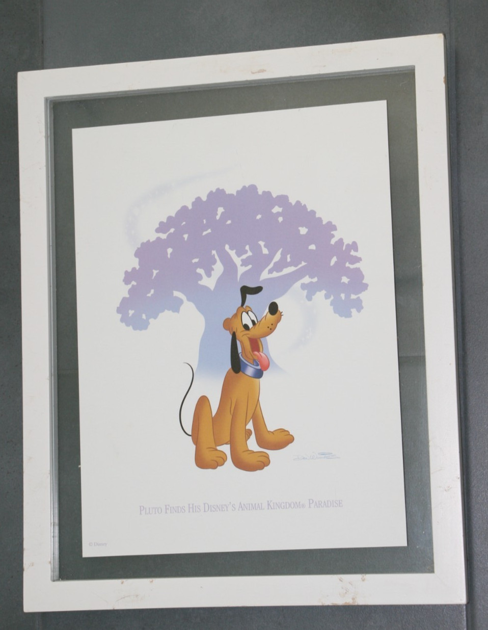 Disney Pluto Animal Kingdom Donald Duck Hollywood Studios Goofy Epcot Lith Set
